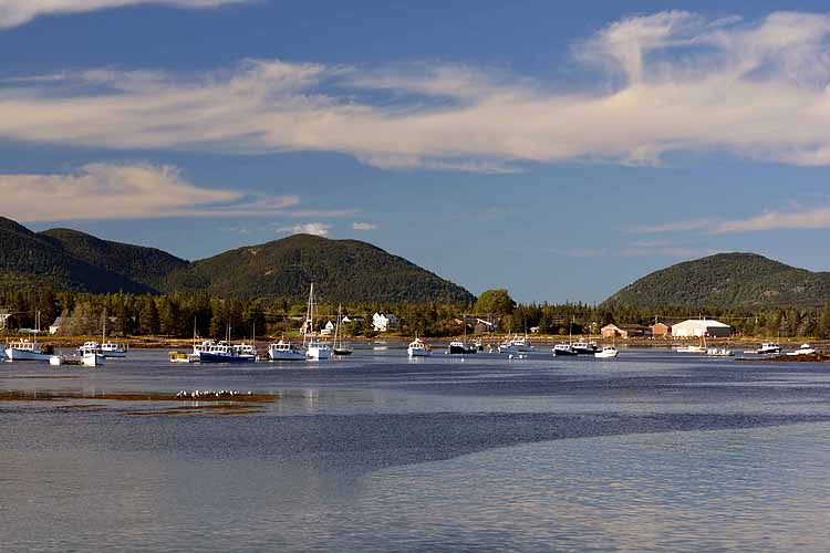 harbor